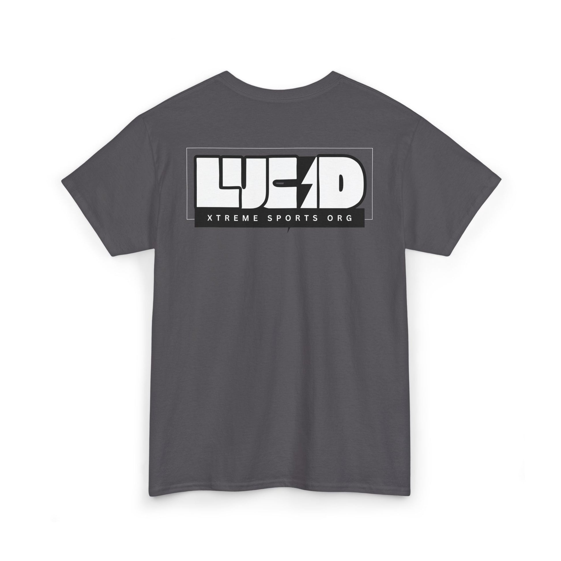 Charcoal Lucid Reality tee, block LUCID logo back graphic, flat